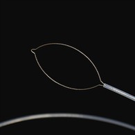 Ծնոտի տեսակը օտար մարմնի Forceps